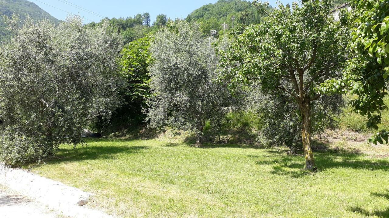 Casa Gina Garden And View By Gardadomusmea Villa Tremosine Exterior foto